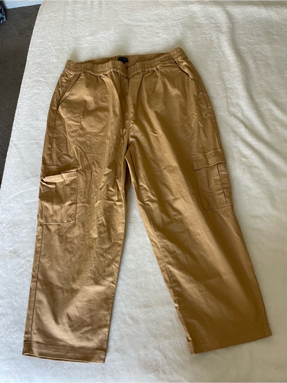 Universal Standard Men's Cargo Pants in Brown